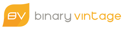Binary Vintage Logo