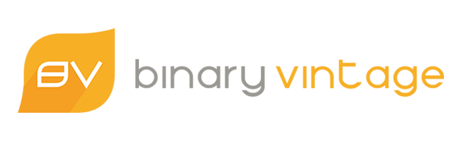 Binary Vintage Logo
